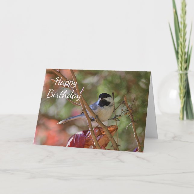 Svart-capped Chickadee Kort (Framsida)