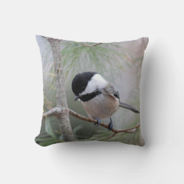 Svart-capped chickadee kudde