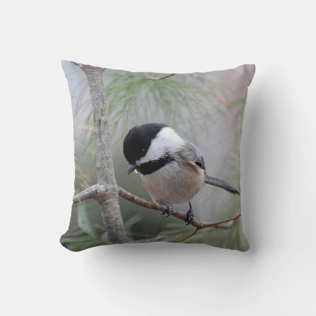 Svart-capped chickadee kudde (Framsida)