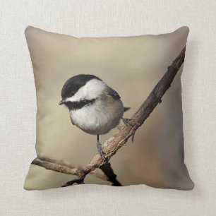 Svart-capped chickadee kudde