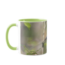 Svart Capped Chickadee på en gren