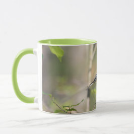 Svart Capped Chickadee på en gren Mugg