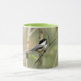 Svart Capped Chickadee på en gren Mugg