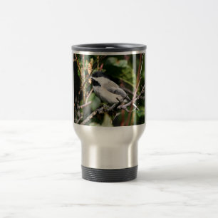 Svart-capped chickadee resemugg