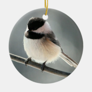 Svart-capped Chickadeeprydnad Julgransprydnad Keramik