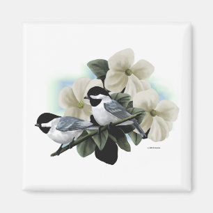 Svart Capped Chickadees Magnet