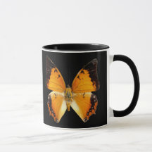 Svart Charaxes Butterfly Coffee Mugg