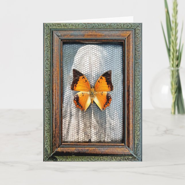 Svart Charaxes Butterfly Greeting Card NV Kort (Framsida)