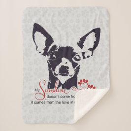 Svart Chihuahuahund mitt solsken