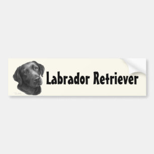 Svart-/chokladLabrador Retriever Bildekal