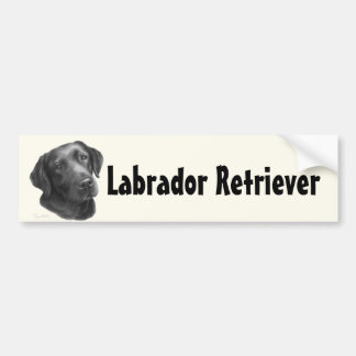 Svart-/chokladLabrador Retriever Bildekal