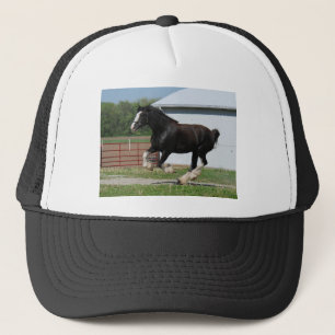 Svart Clydesdale Keps