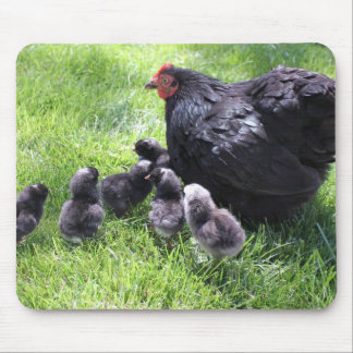 Svart Cochin höna med chickar Mousepad Musmatta