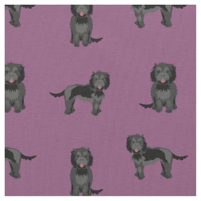 Svart cockapoo hund lila tyg (Närbild)