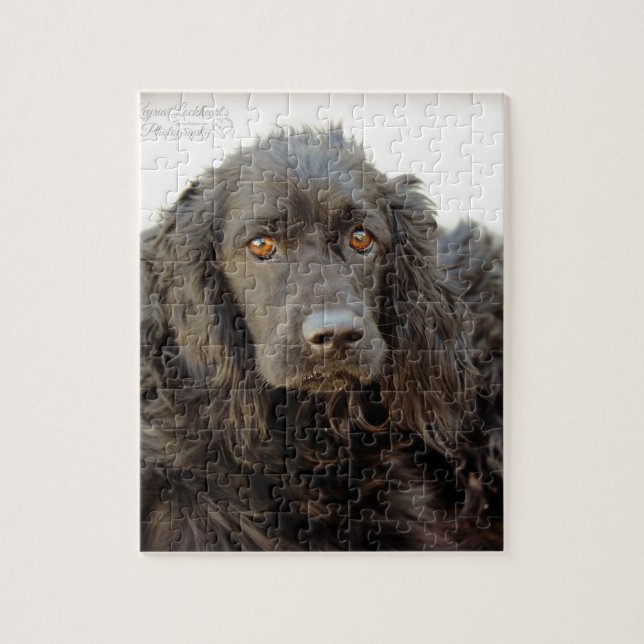Svart cockerspanielSpaniel "Harley ", Pussel (Vertikal)