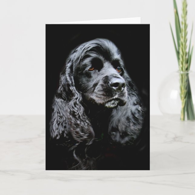 Svart cockerspanielSpaniel Kort (Framsida)