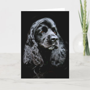 Svart cockerspanielSpaniel Kort