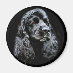 Svart cockerspanielSpaniel Magnet