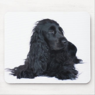 Svart cockerspanielSpaniel Mousepad Musmatta