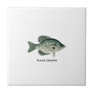 Svart Crappie Kakelplatta