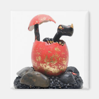 Svart dragmagnet magnet