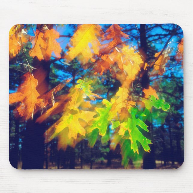 Svart ek-Löv blåser i Vinden Musmatta (Framsidan)