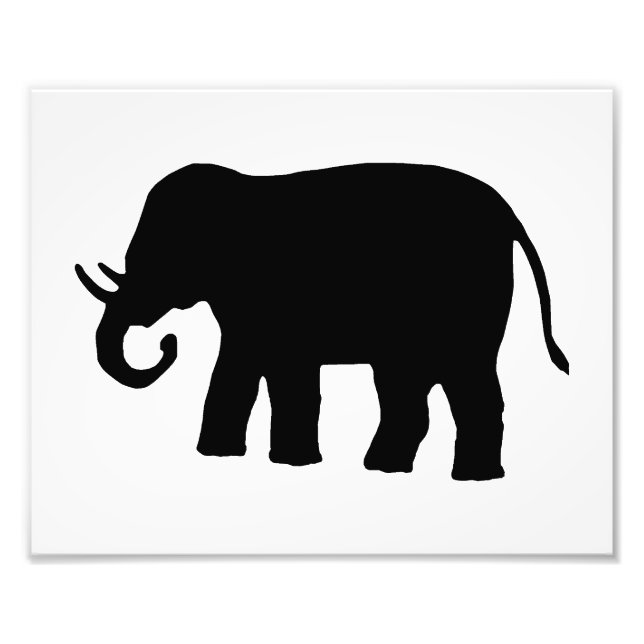 Svart Elefant Fototryck (Framsidan)