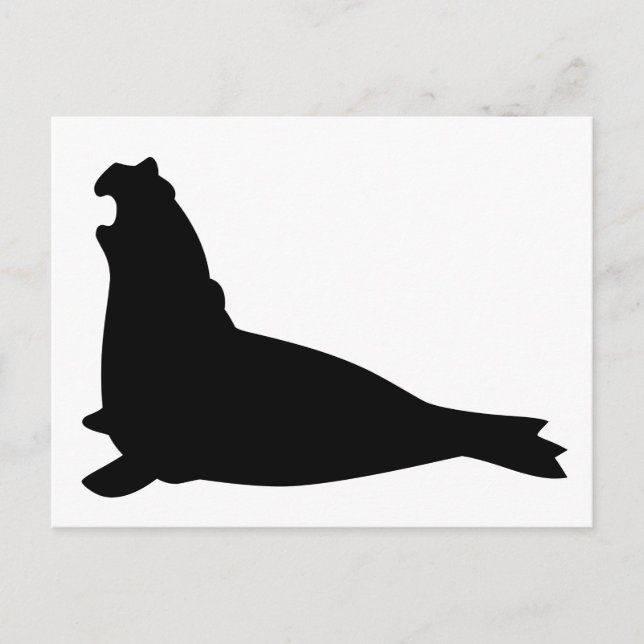 Svart Elephant Seal-vykort Vykort (Framsida)