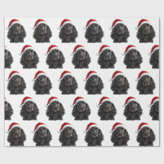 Svart engelsk cocker spaniel hund med tomtehatt presentpapper