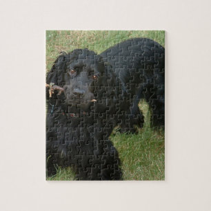 svart engelskacockerspanielspaniel fulla 2 pussel