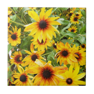 Svart eyed Susan Kakelplatta