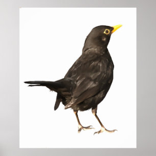 Svart fågel isolerad från vit akrylmålning poster
