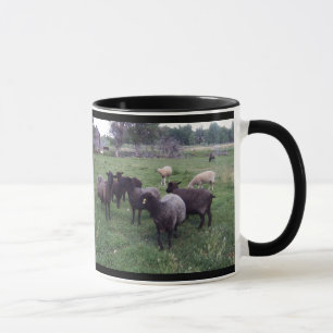 Svart får mugg