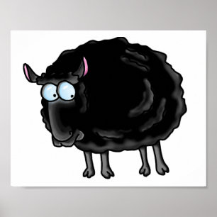 Svart får poster