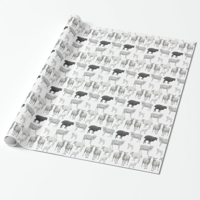 Svart får torkar bli en annan giftmassa presentpapper (Utrullad)