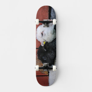 Svart fårvita Skateboard