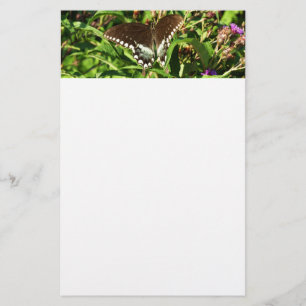 Svart fjärilsmusfluga, naturfotografi brevpapper