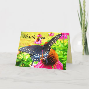 Svart fjärilsmussla Rosa Echinacea Flowers Tack Kort