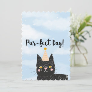 Svart födelsedagspressdag för katt
