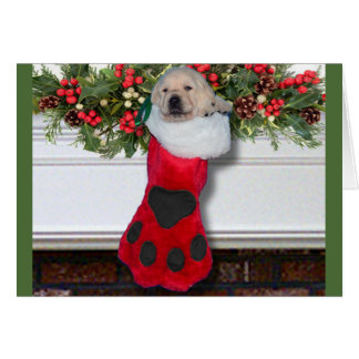 Svart för tacksamhetvecka 3 hälsningskort