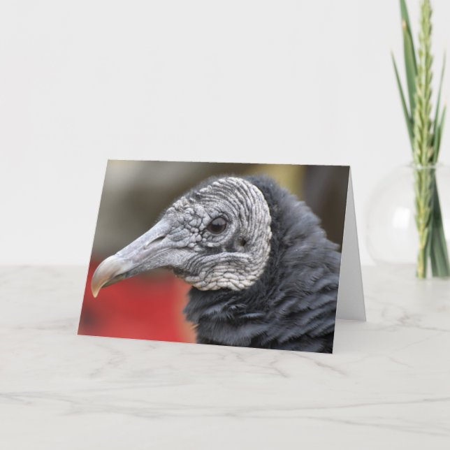 Svart fotografi kort (Framsida)