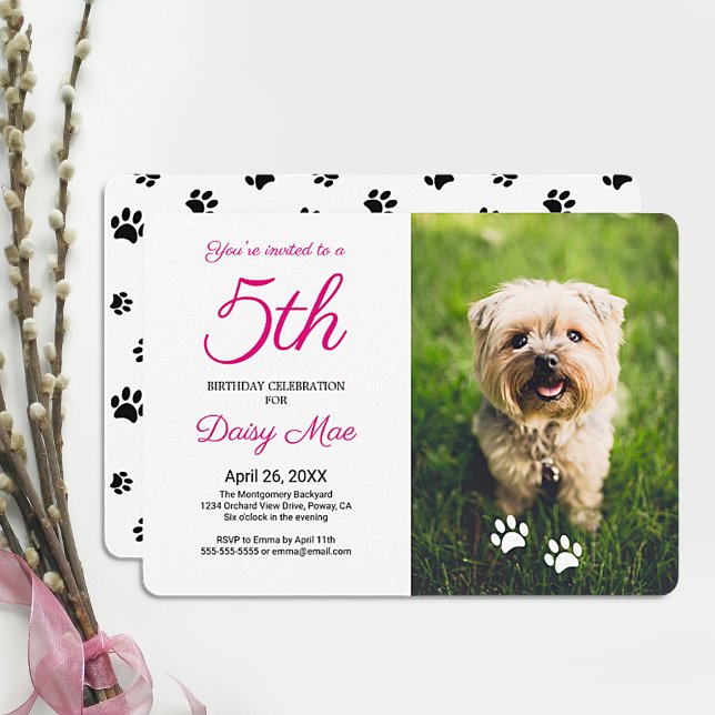 Svart fotoinbjudan till Pet Birthday i Tass avtryc Inbjudningar (Skapare uppladdad)