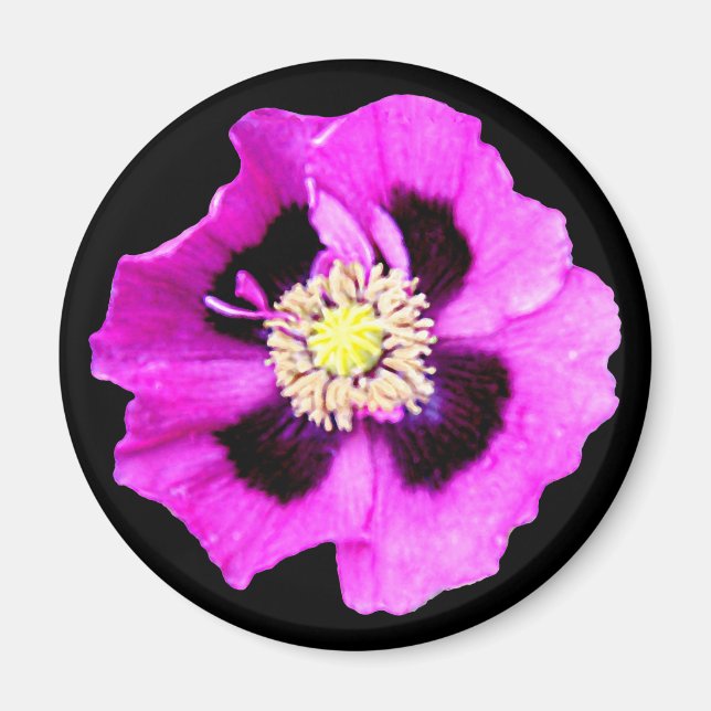 Svart från Oriental Poppy-kylskåp Magnet (Framsidan)