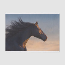 Svart frisisk häst vid solljus