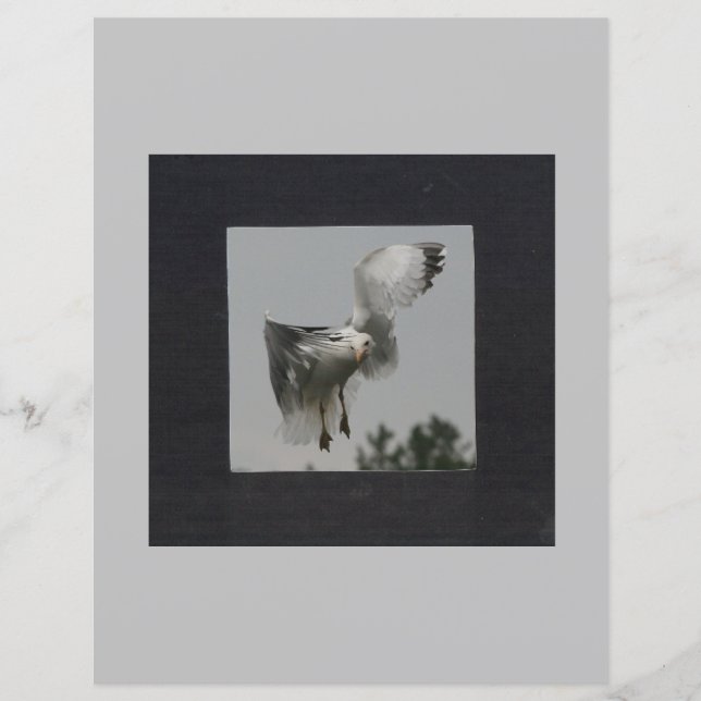 Svart fyrkant på grå fotoram (Framsida)