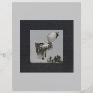 Svart fyrkant på grå fotoram