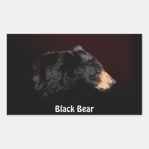 Svart gåvor för björndjurlivklistermärke rektangulärt klistermärke