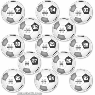 Svart grått-lag färg fotbollar för 13 spelare klistermärken