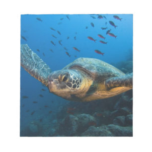 Svart (Grön) Sköldpadda (Chelonia agassizi) Anteckningsblock