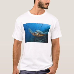 Svart (Grön) Sköldpadda (Chelonia agassizi) Tee